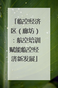 临空经济区（廊坊）：航空培训赋能临空经济新发展