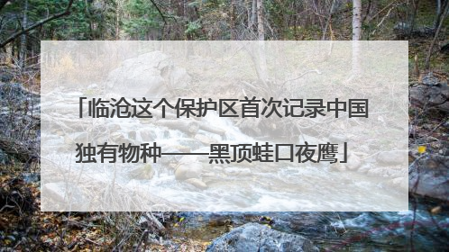 临沧这个保护区首次记录中国独有物种——黑顶蛙口夜鹰