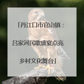 丹江口市官山镇：吕家河民歌盛宴点亮乡村文化舞台