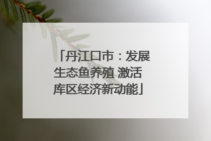 丹江口市：发展生态鱼养殖 激活库区经济新动能