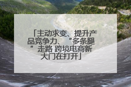 主动求变、提升产品竞争力、“多条腿”走路 跨境电商新大门在打开