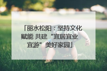 丽水松阳：坚持文化赋能 共建“宜居宜业宜游”美好家园