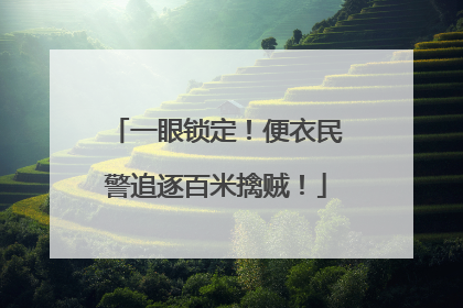 一眼锁定！便衣民警追逐百米擒贼！