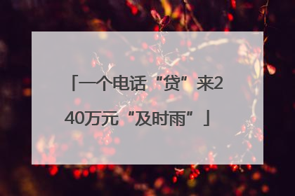 一个电话“贷”来240万元“及时雨”