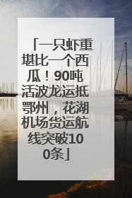 一只虾重堪比一个西瓜！90吨活波龙运抵鄂州，花湖机场货运航线突破100条