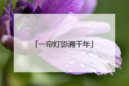 一帘灯影溯千年