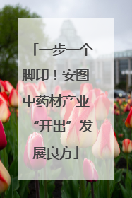一步一个脚印！安图中药材产业“开出”发展良方