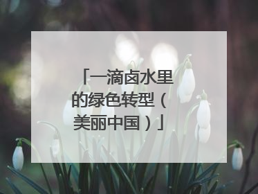 一滴卤水里的绿色转型（美丽中国）