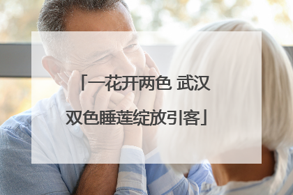 一花开两色 武汉双色睡莲绽放引客