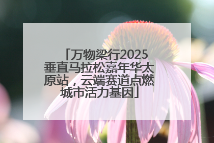 万物梁行2025垂直马拉松嘉年华太原站，云端赛道点燃城市活力基因