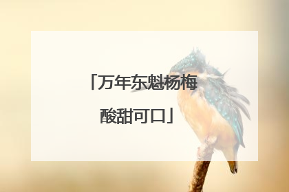万年东魁杨梅 酸甜可口