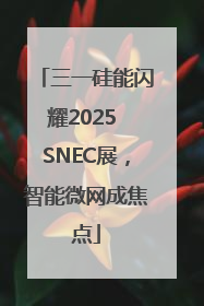 三一硅能闪耀2025 SNEC展，智能微网成焦点