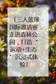 三人篮球国际邀请赛走进森林公园，打造“运动+生态”沉浸式体验