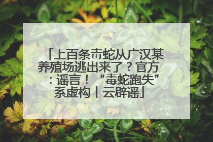 上百条毒蛇从广汉某养殖场逃出来了？官方：谣言！“毒蛇跑失”系虚构丨云辟谣
