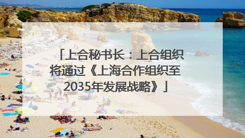 上合秘书长：上合组织将通过《上海合作组织至2035年发展战略》