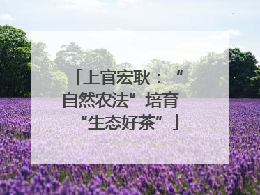 上官宏耿：“自然农法”培育“生态好茶”