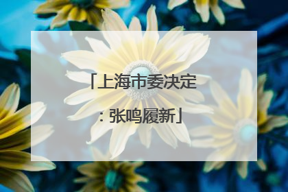 上海市委决定：张鸣履新