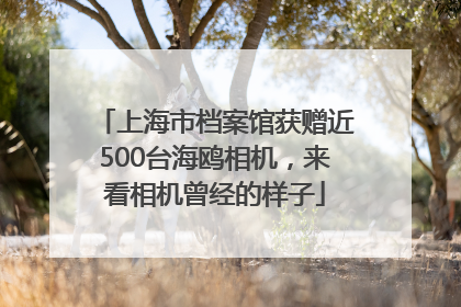 上海市档案馆获赠近500台海鸥相机，来看相机曾经的样子
