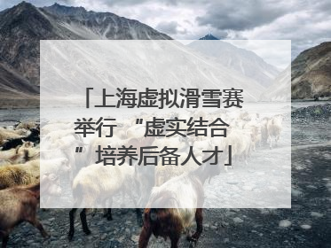 上海虚拟滑雪赛举行 “虚实结合”培养后备人才