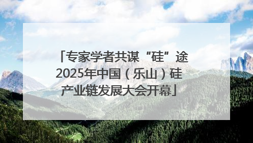 专家学者共谋“硅”途 2025年中国（乐山）硅产业链发展大会开幕