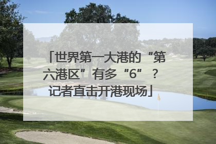 世界第一大港的“第六港区”有多“6”？记者直击开港现场