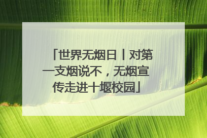 世界无烟日丨对第一支烟说不，无烟宣传走进十堰校园