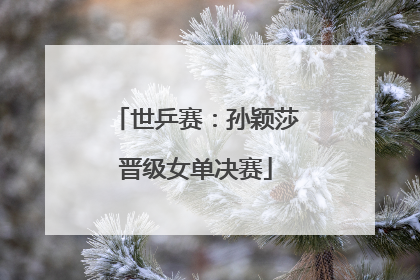 世乒赛：孙颖莎晋级女单决赛