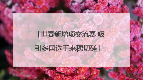 世赛新增项交流赛 吸引多国选手来穗切磋