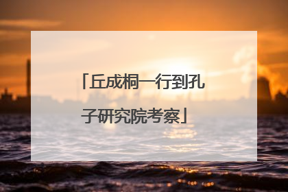 丘成桐一行到孔子研究院考察