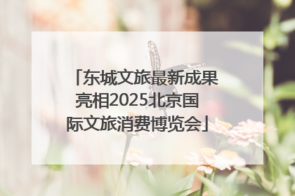 东城文旅最新成果亮相2025北京国际文旅消费博览会
