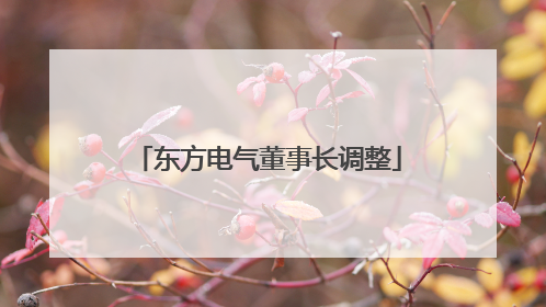 东方电气董事长调整