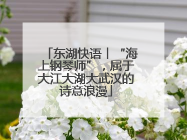 东湖快语丨“海上钢琴师”，属于大江大湖大武汉的诗意浪漫