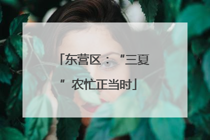 东营区：“三夏”农忙正当时