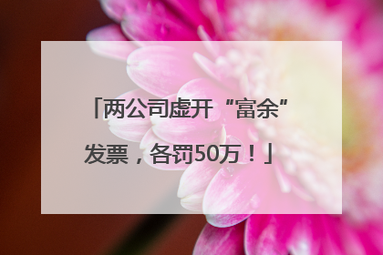 两公司虚开“富余”发票，各罚50万！
