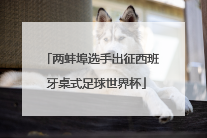 两蚌埠选手出征西班牙桌式足球世界杯
