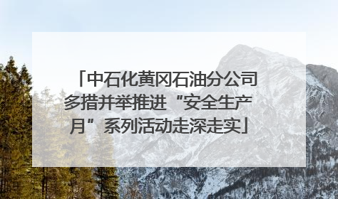 中石化黄冈石油分公司多措并举推进“安全生产月”系列活动走深走实