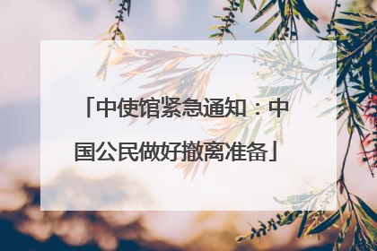 中使馆紧急通知：中国公民做好撤离准备