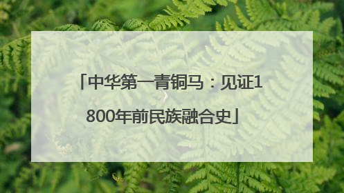 中华第一青铜马：见证1800年前民族融合史