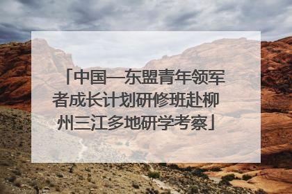 中国—东盟青年领军者成长计划研修班赴柳州三江多地研学考察