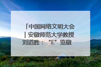 中国网络文明大会｜安徽师范大学教授刘道胜：“E”览徽风，构筑中华民族共有精神家园