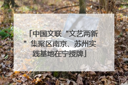 中国文联“文艺两新”集聚区南京、苏州实践基地在宁授牌