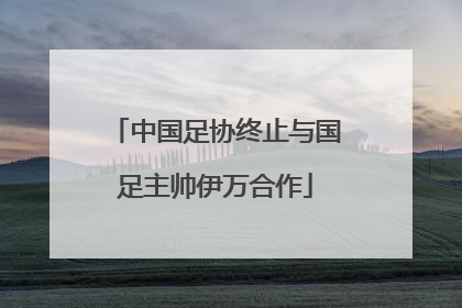 中国足协终止与国足主帅伊万合作