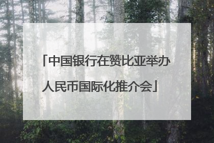 中国银行在赞比亚举办人民币国际化推介会