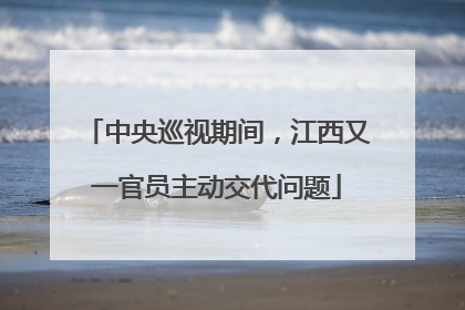 中央巡视期间，江西又一官员主动交代问题