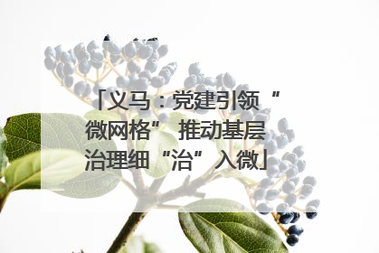 义马：党建引领“微网格” 推动基层治理细“治”入微