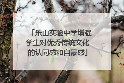乐山实验中学增强学生对优秀传统文化的认同感和自豪感