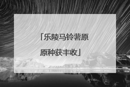 乐陵马铃薯原原种获丰收