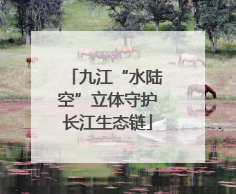 九江“水陆空”立体守护长江生态链