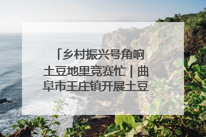 乡村振兴号角响 土豆地里竞赛忙｜曲阜市王庄镇开展土豆收获劳动竞赛