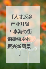 人才返乡 产业升级！李海务街道绘就乡村振兴新图景
